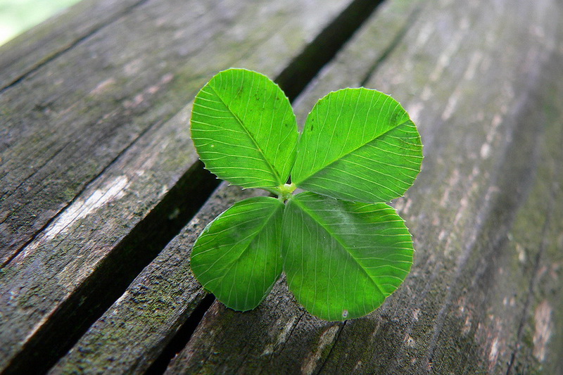 St. Patrick's Day