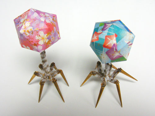 Origami Bacteriophage