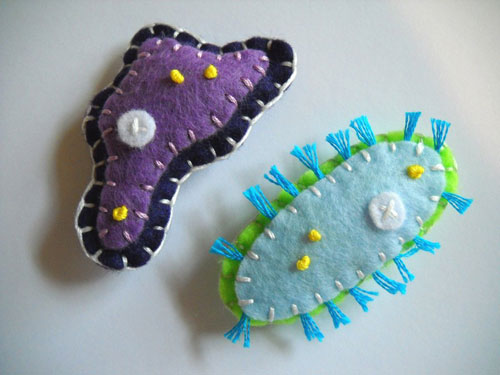 Paramecium and Amoeba Magnets