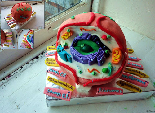 Biology Cell Cake