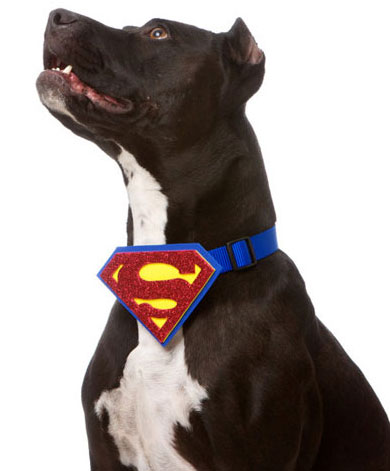 superdog collar
