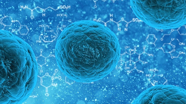 Stem cells illustrated — image for the "What Is A Neuron" blog post