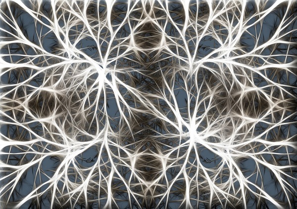 A network of neurons illustrated — image for the "What Is A Neuron" blog post
