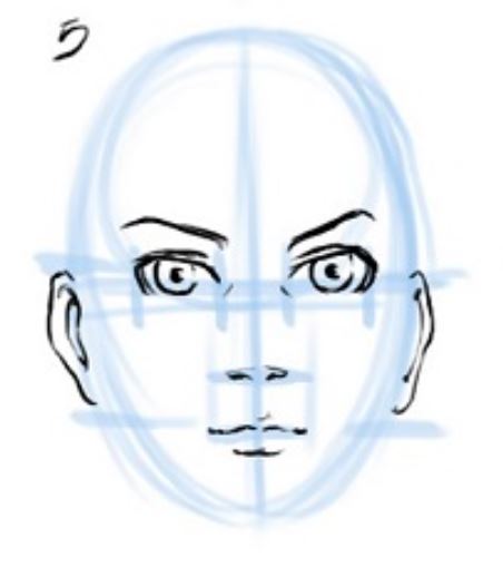 Drawing ears is the fifth step when learning how to draw a face.​