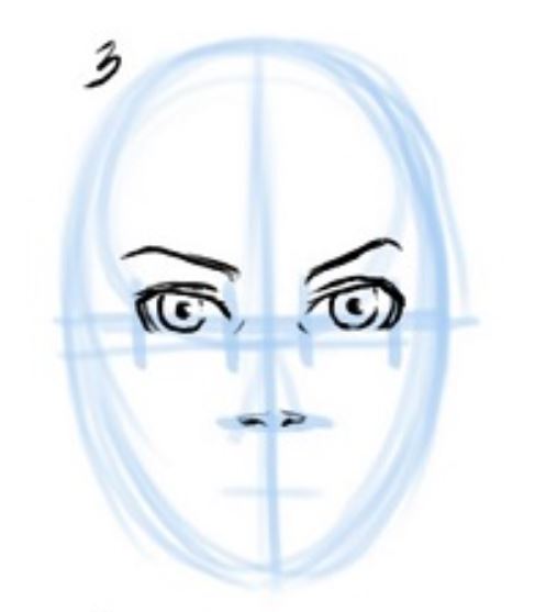 Illustration showing nostrils that line up with inner corners of the eyes — image used in the blog post 