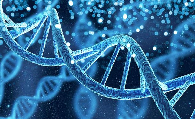 Gene mutation can affect one or more genes. Image used in the "What Is A Gene Mutation And Why Does It Happen" blog post.​