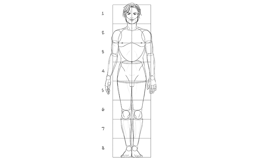 Male basic proportions. Image used in the "How To Draw A Person" blog post.​