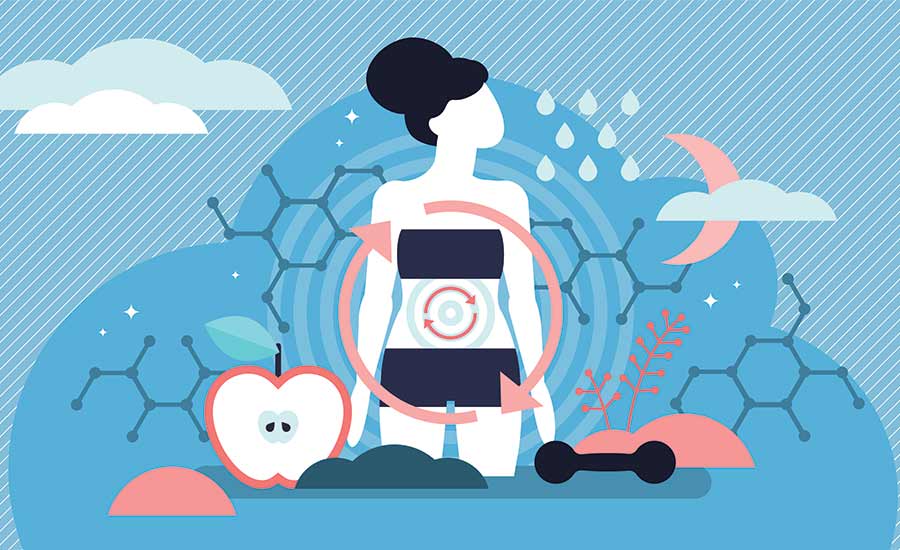 What Is Cellular Metabolism? Here's All You Need To Know