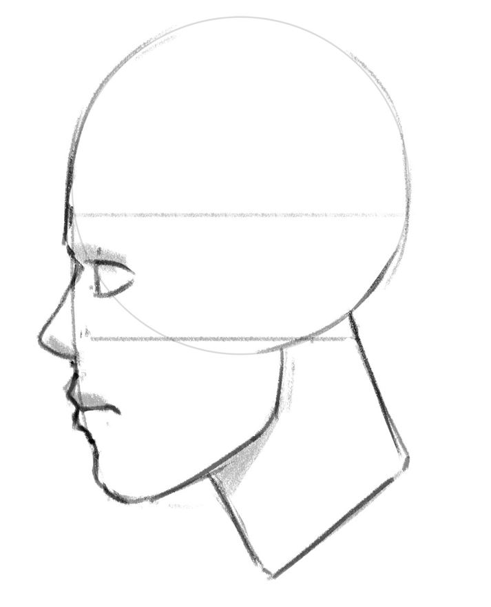 Finished drawing of a head from the side.