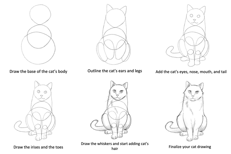 How To Draw A Cat For Beginners [Video Tutorial]