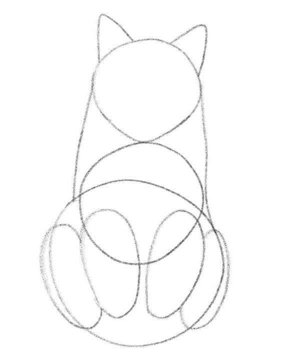 Illustration showing the outline of a cat’s body with ears and legs added in.