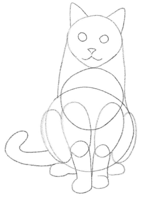 Illustration showing the outline of a cat’s body with the eyes and the tail.