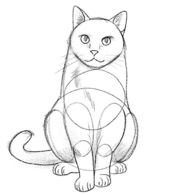 Illustration of a cat with whiskers.