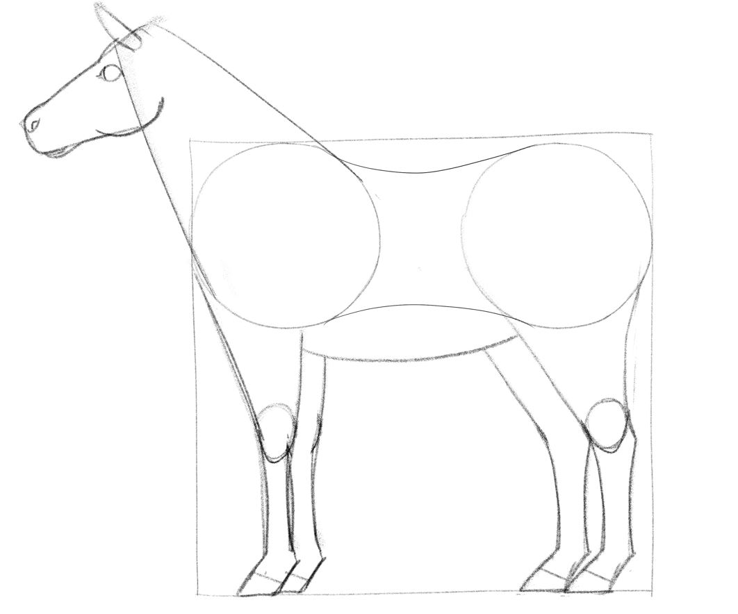 Illustration of a horse with the eyes, the ears, the lips, and the nostrils added to the head.