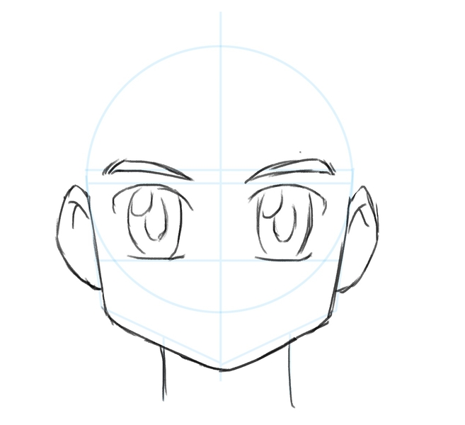 Illustration of the eyebrows.​