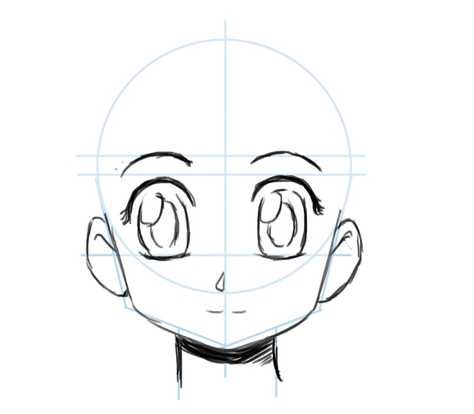 Illustration of the nose.​
