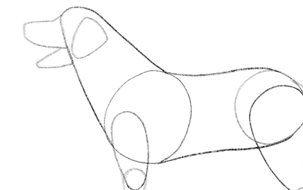 Illustration showing the outline of the dog torso, head, and neck with an ear added.