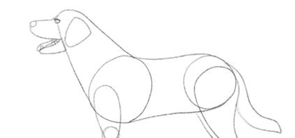 Illustration showing a dog's head with its eyes, teeth and tongue added.