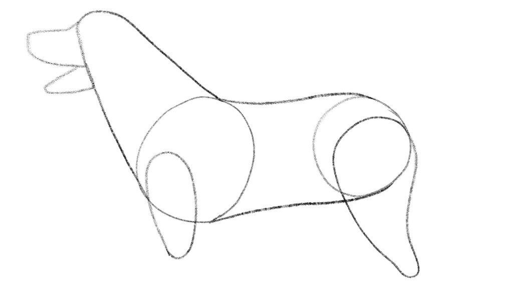 Illustration showing the outline of the dog’s body.