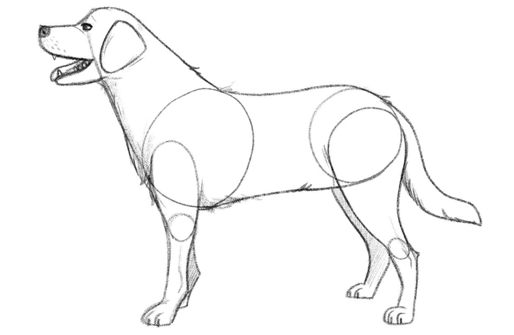 Photo depicting a slightly shaded illustration of a dog.