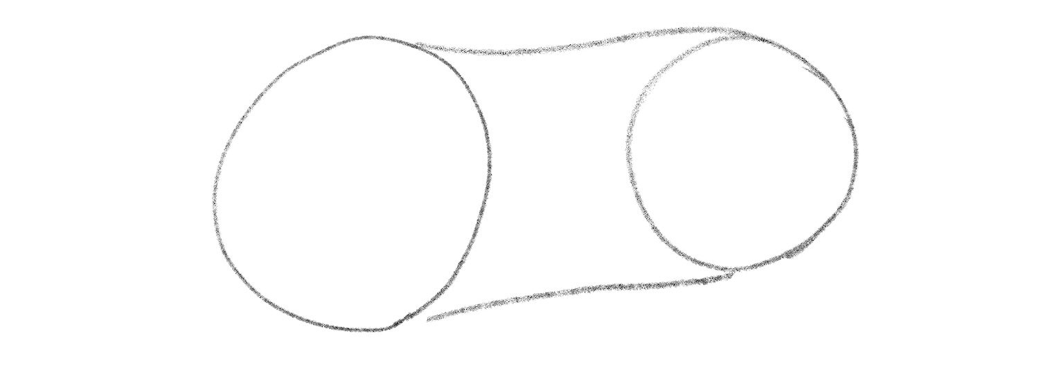 Illustration showing a dog's torso.