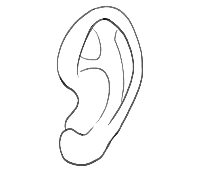 Illustration showing a dark ear outline in preparation to shade the drawing.