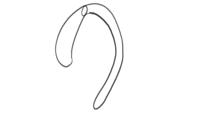 Illustration showing the finished ear rim.