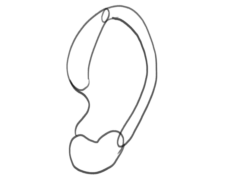 Image showing the tragus..