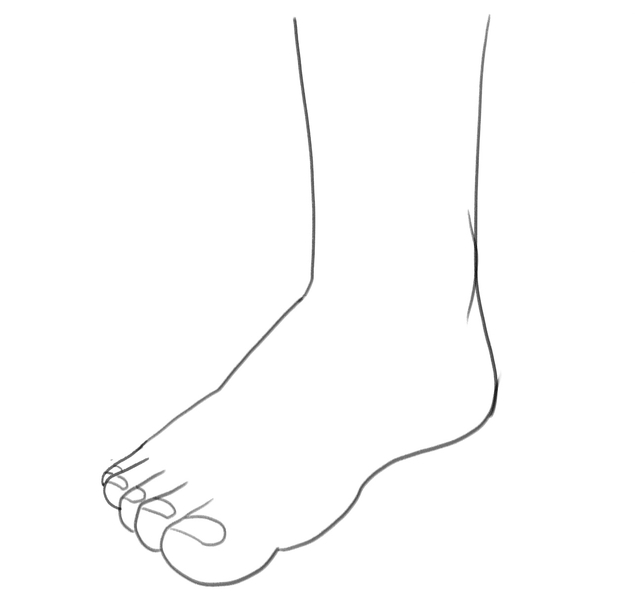 The finished foot illustration.​