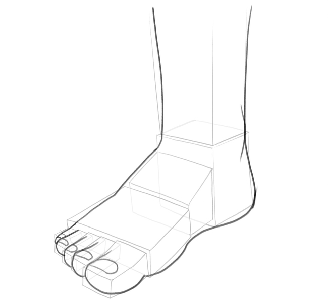 Foot contour with the nails added to the sketch.​