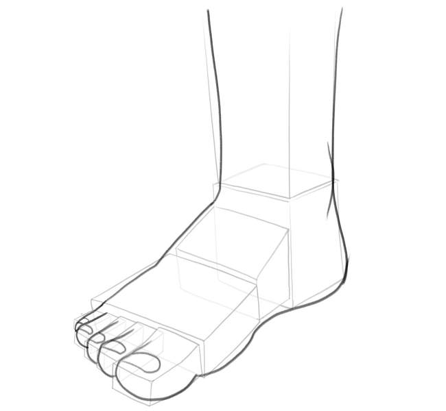 How To Draw Feet For Beginners [With Video & Illustrations]