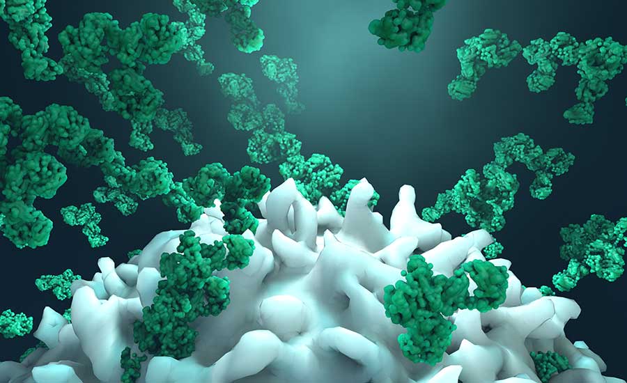 How Are Monoclonal Antibodies Made & How Do They Work?