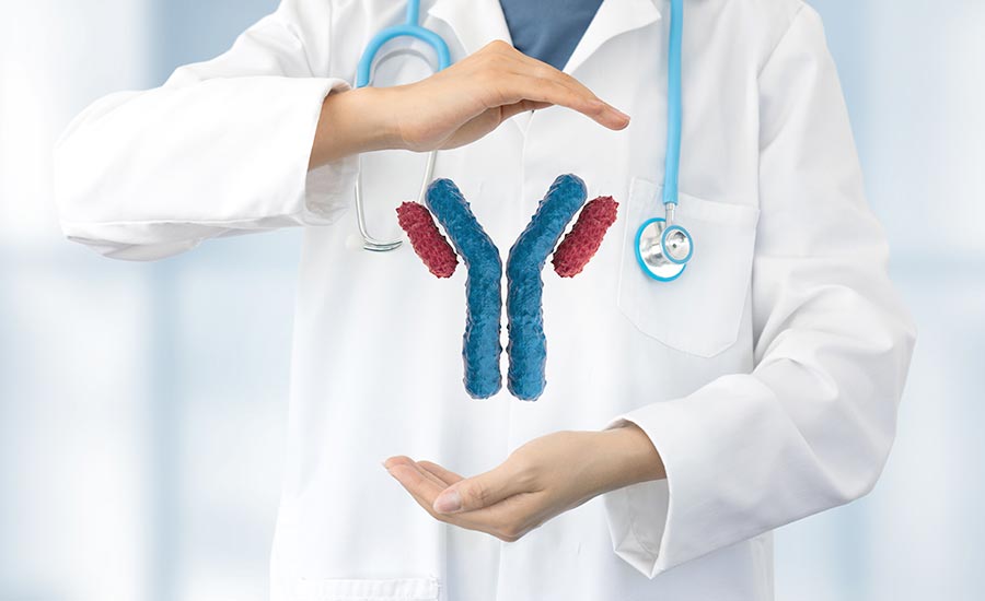 How Are Monoclonal Antibodies Made & How Do They Work?