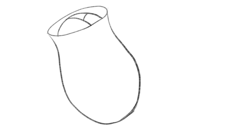 The center of the rose is added to the sketch.