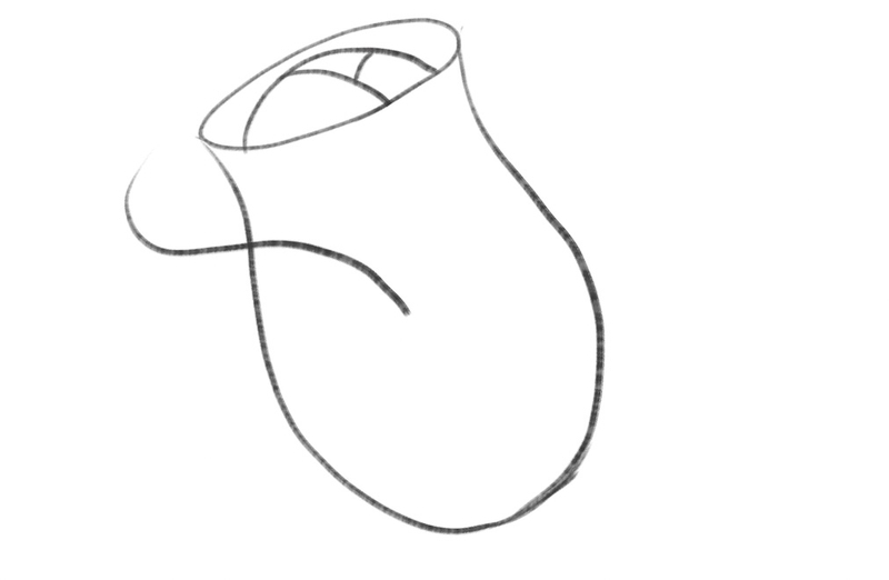 The S-shape starts at the middle of the rose’s core and marks the place where one layer of petals will be.