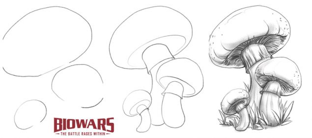 Custom illustration demonstrating the process of drawing mushroom from start to finish. Image used in the “Drawing Mushrooms” blog post.​