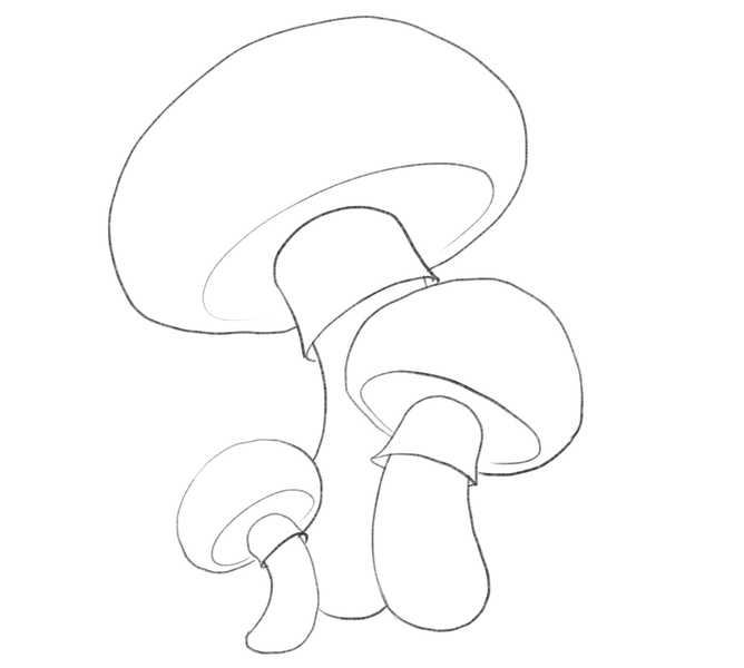 Mushrooms with a ring-like structure added along the stems.