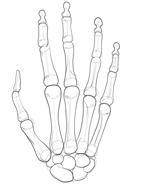 Skeleton Hand Drawing In 5 Steps Video Illustrations halloween-hand-skeleton-hand-tattoo-bone-hand-tattoo-hand-tattoos