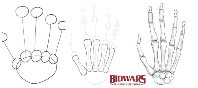 Custom illustrations showing the steps to drawing a skeleton hand.​