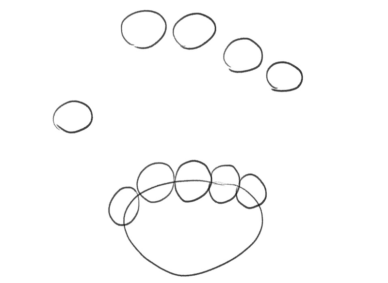 Illustration of the top of the metacarpal bones is added to the sketch.
