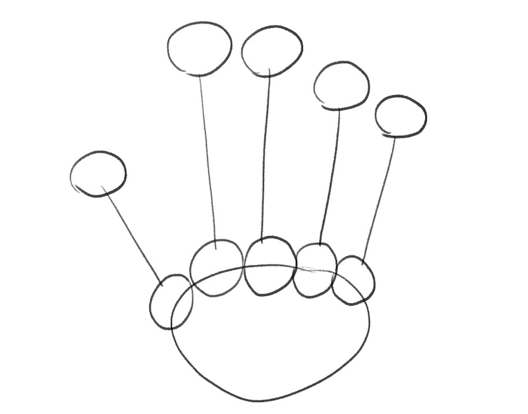 The top circles are connected to bottom circles with straight lines, forming the outline of metacarpal bones.