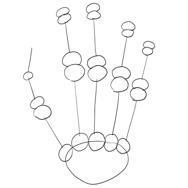 The bottom of the middle phalange is added to each finger.