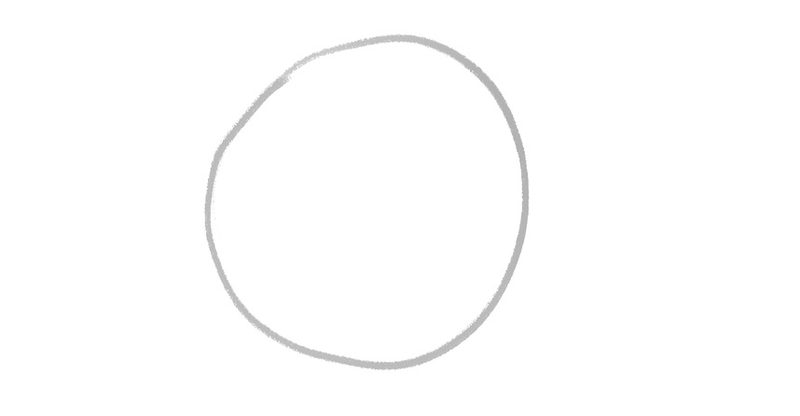 A sketch of a circle that represents the bunny’s belly. 