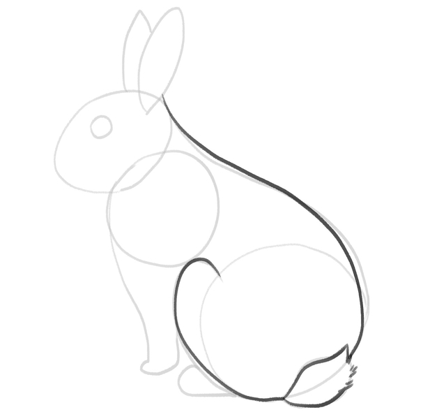 The bunny’s back, back leg and tail are outlined with a darker pencil. 
