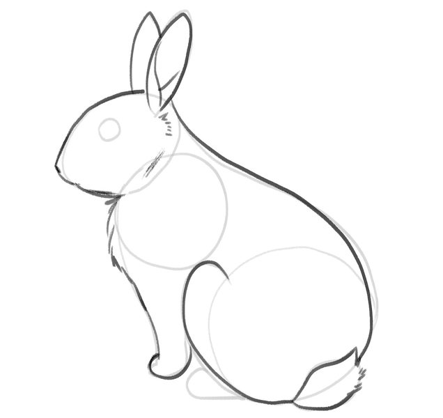 The bunny’s front leg is outlined with a darker pencil. 