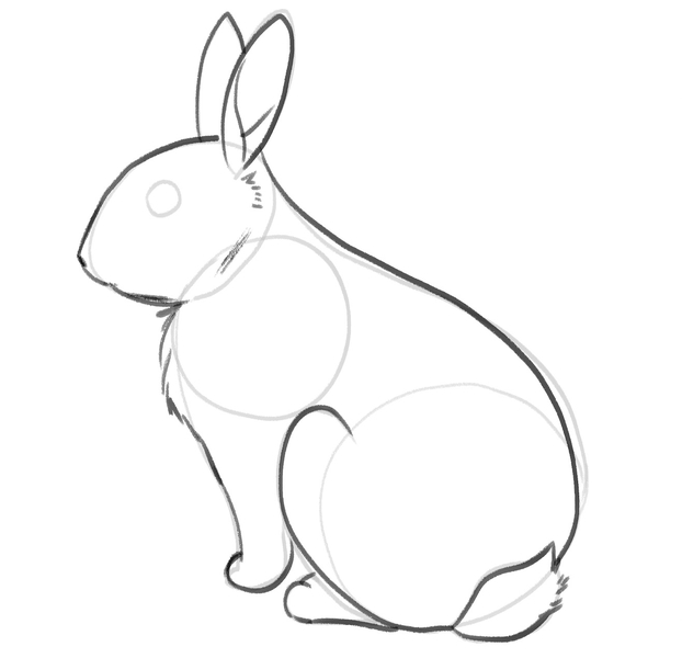 The bunny’s back foot is outlined with a darker pencil. 