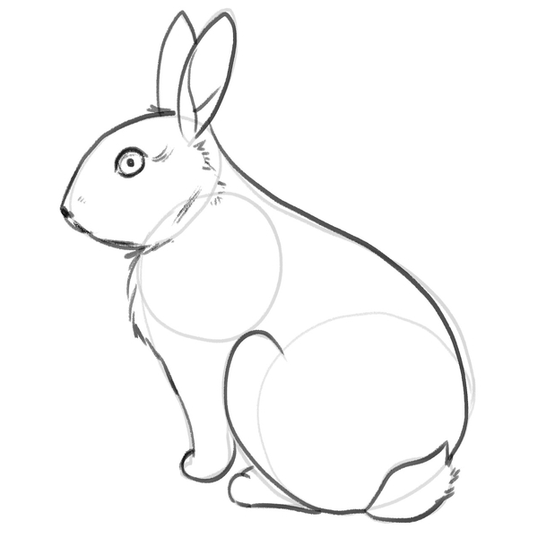 The bunny’s eye and back foot outlined with a darker pencil. 