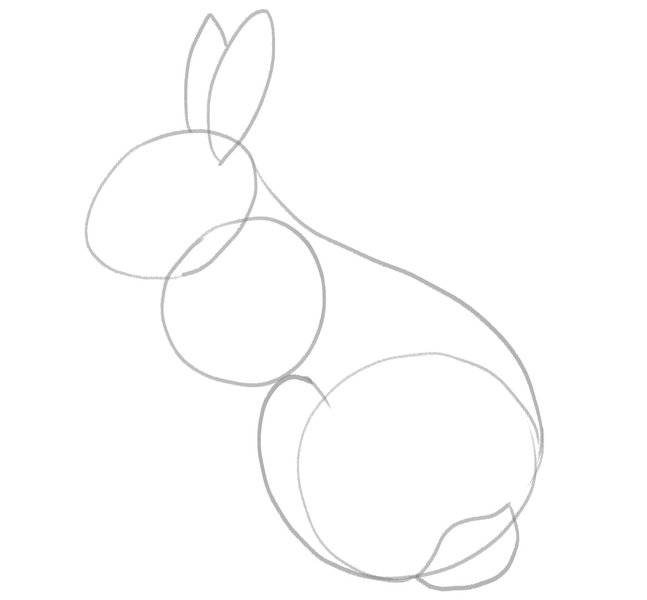 The bunny’s ears are added to the sketch.