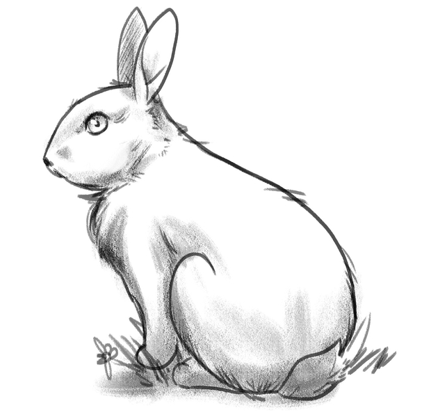 The bunny drawing is now finished. 