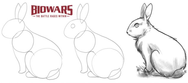 Custom illustrations demonstrating the steps to drawing a bunny. Image used in the “Bunny Drawing In 7 Easy Steps” blog post.